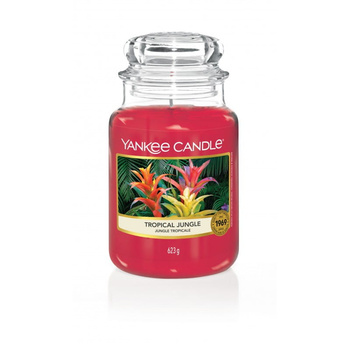 Yankee Candle  Tropical Jungle Słoik Duży 623g