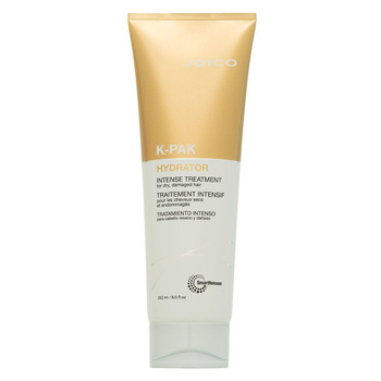 Joico K-Pak Treatment Intense Hydrator 250ml